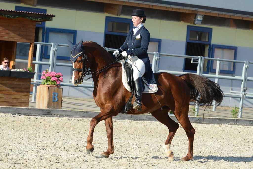 Dressur: Nora Fehre