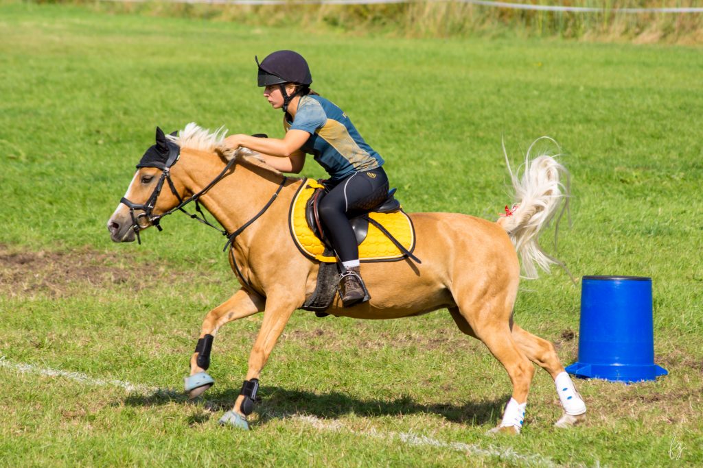 Rosalie und Moonlight, Aufnahme 2
