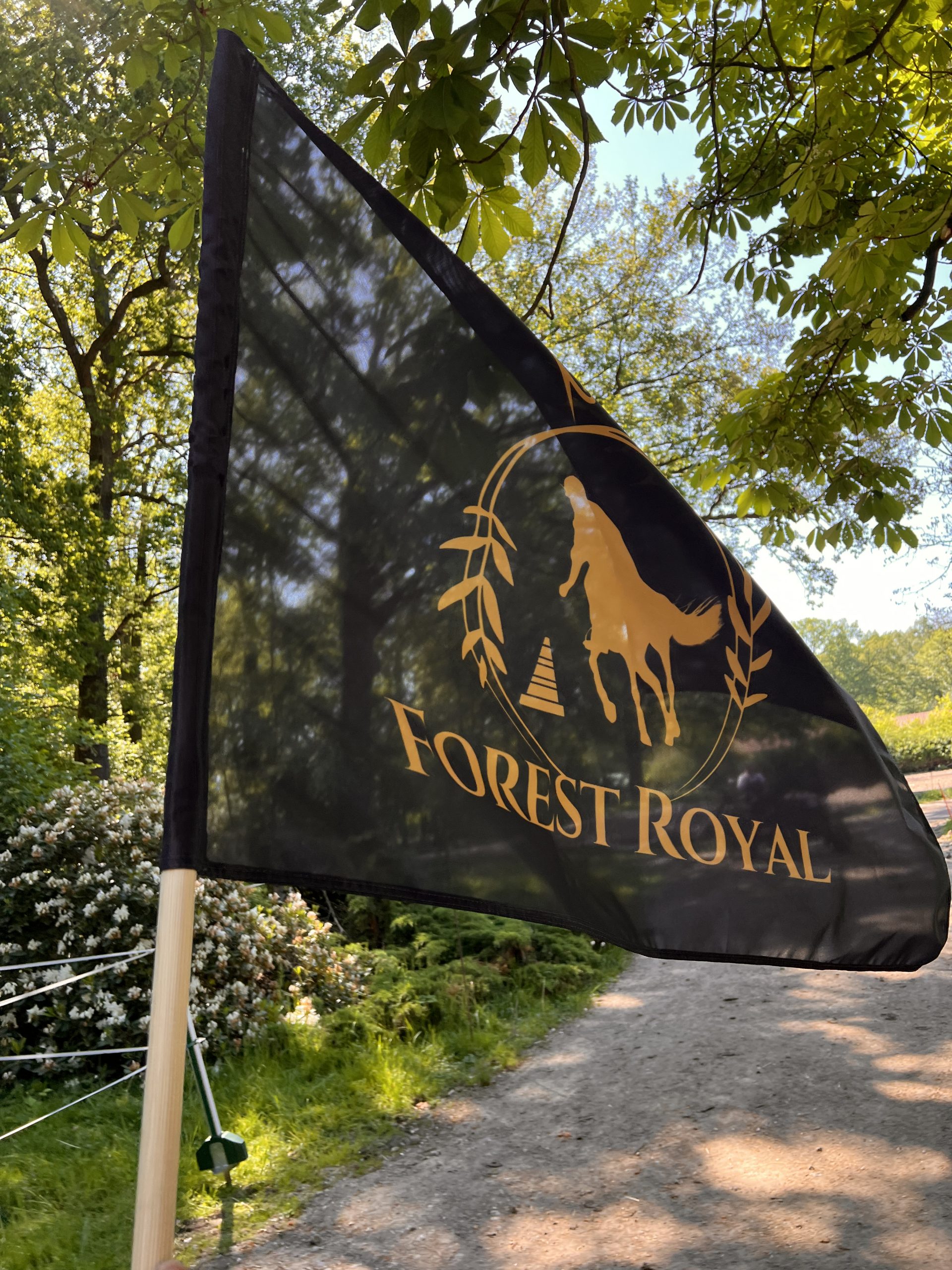 Aktuelle Forest-Royal-Momente, Aufnahme 3