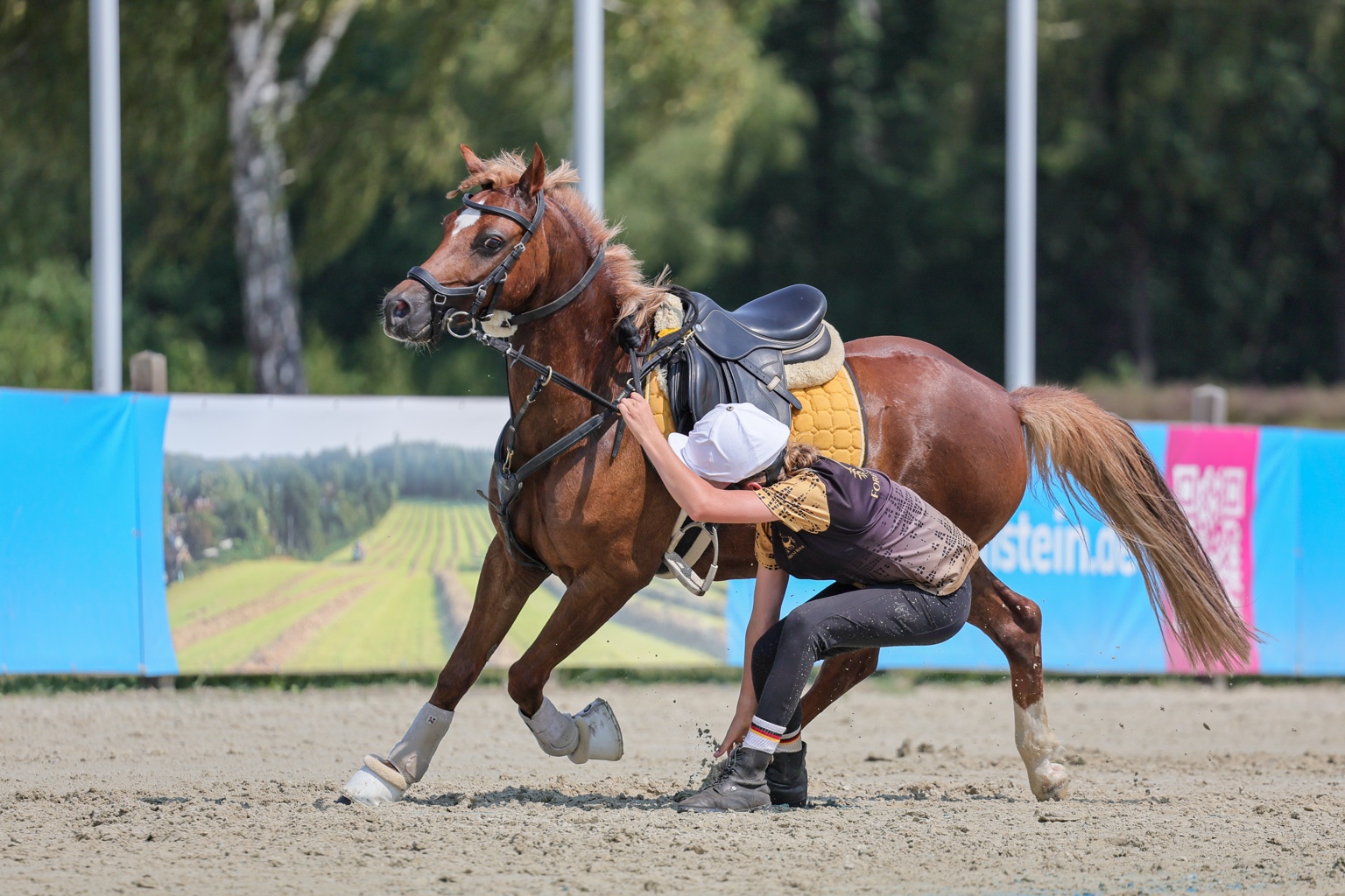 World Individual Championship 2026 · Luhmühlen, Aufnahme 4