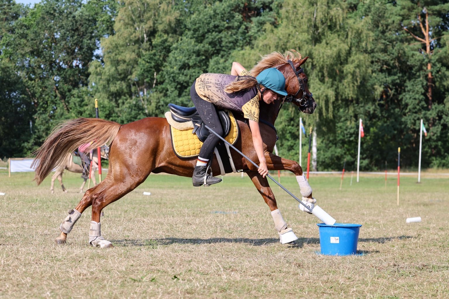World Individual Championship 2026 · Luhmühlen, Aufnahme 1