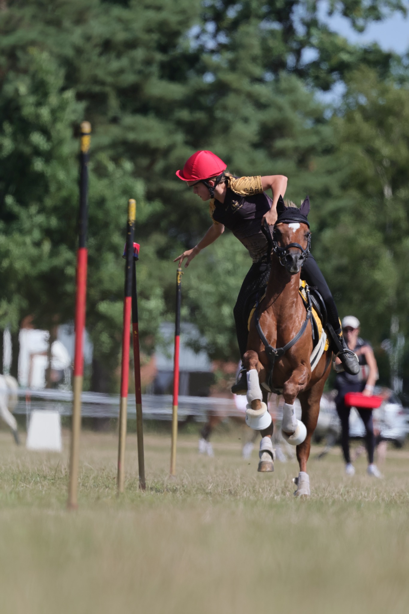 Forest-Royal-Reiterin beim Slalom im Mounted Games