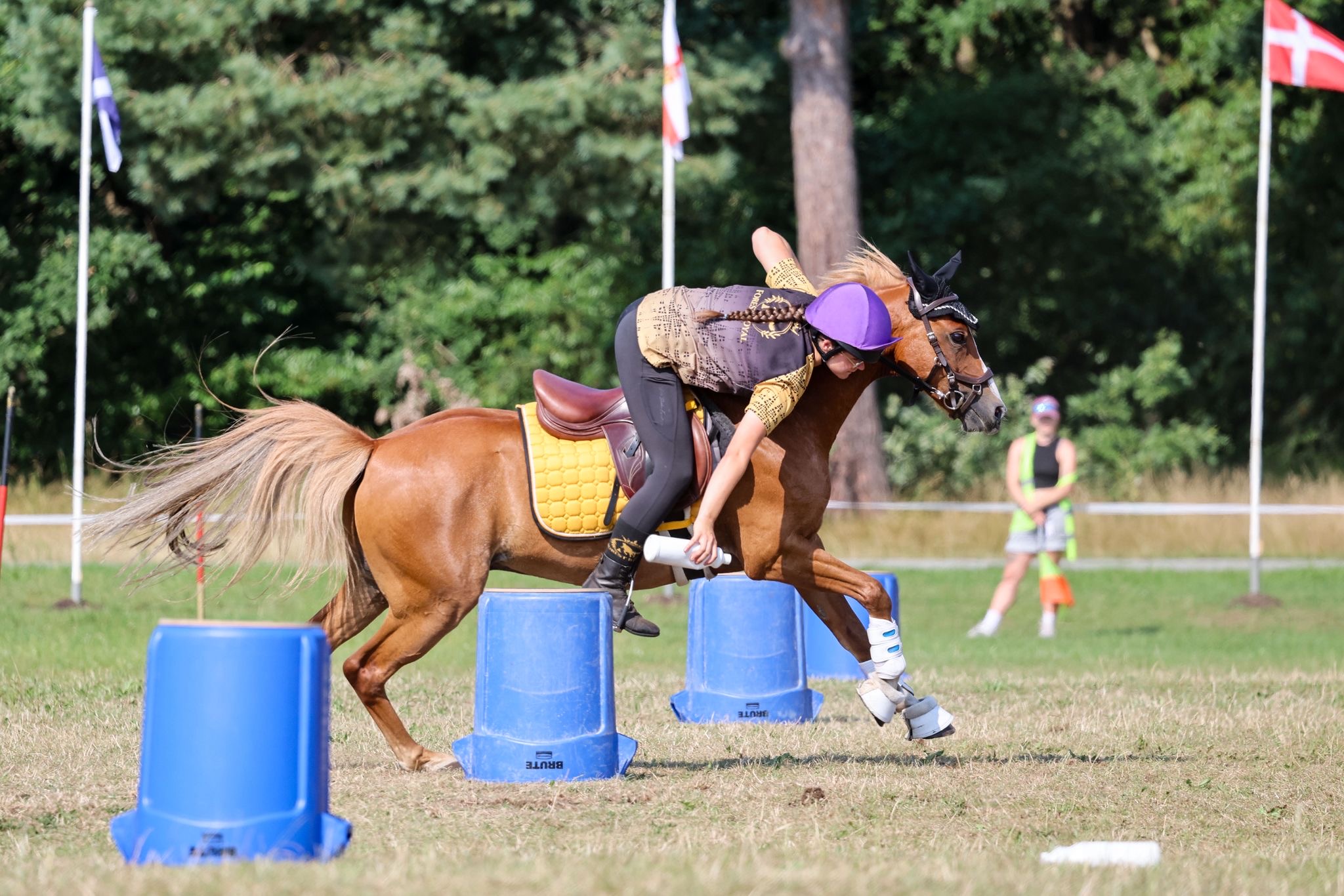 World Individual Championship 2026 · Luhmühlen, Aufnahme 12