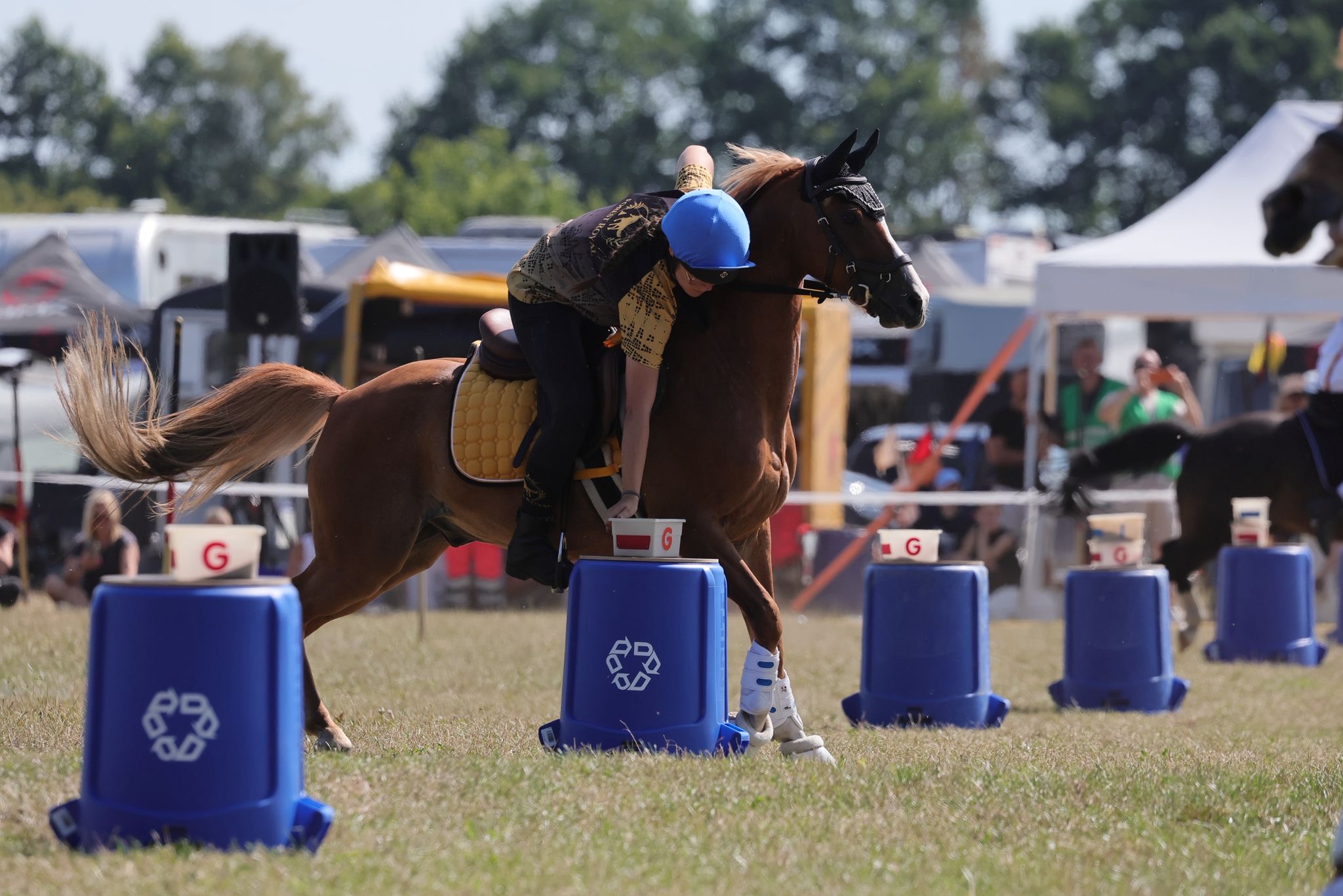 World Individual Championship 2026 · Luhmühlen, Aufnahme 27