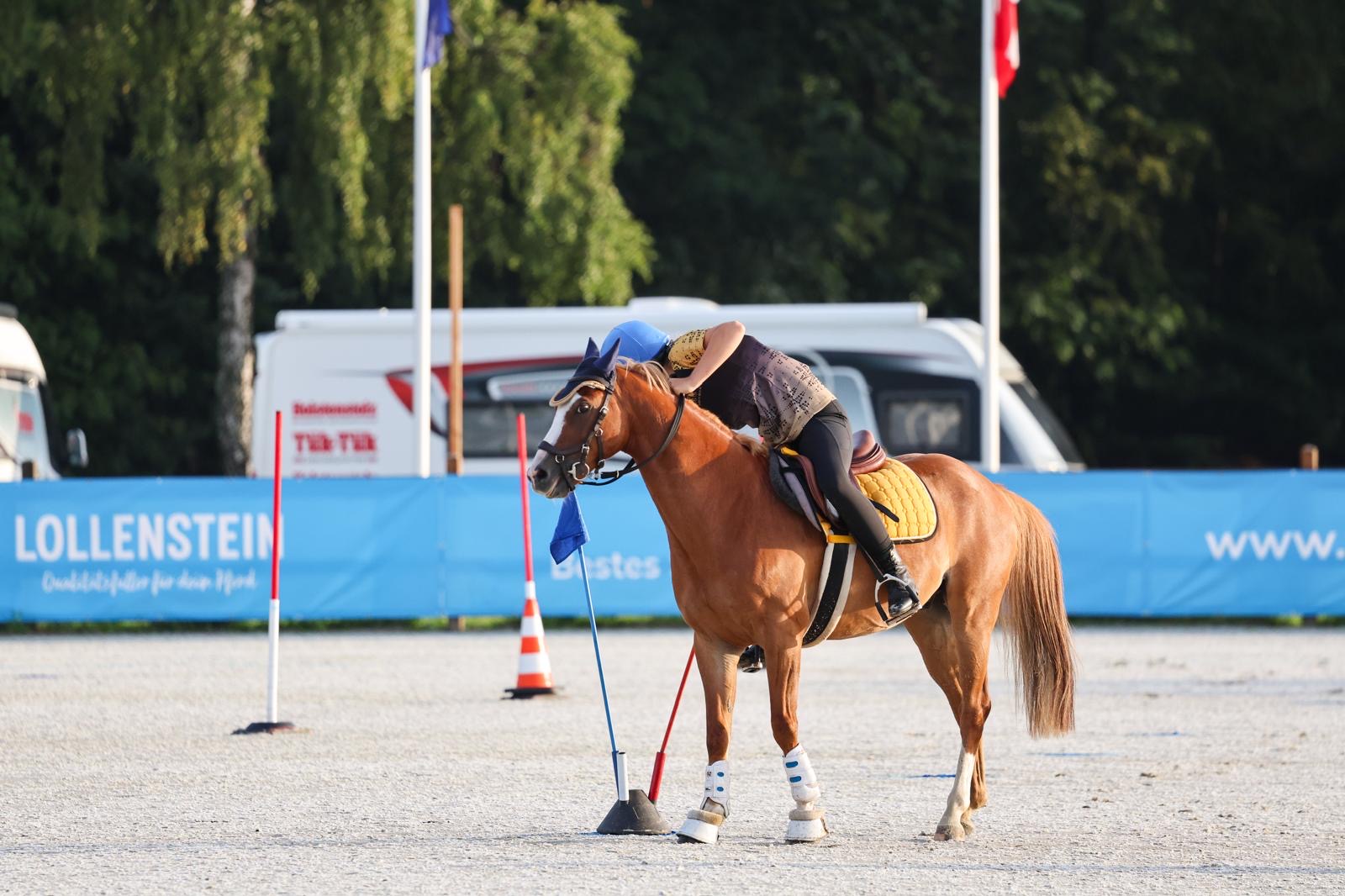 World Individual Championship 2026 · Luhmühlen, Aufnahme 28