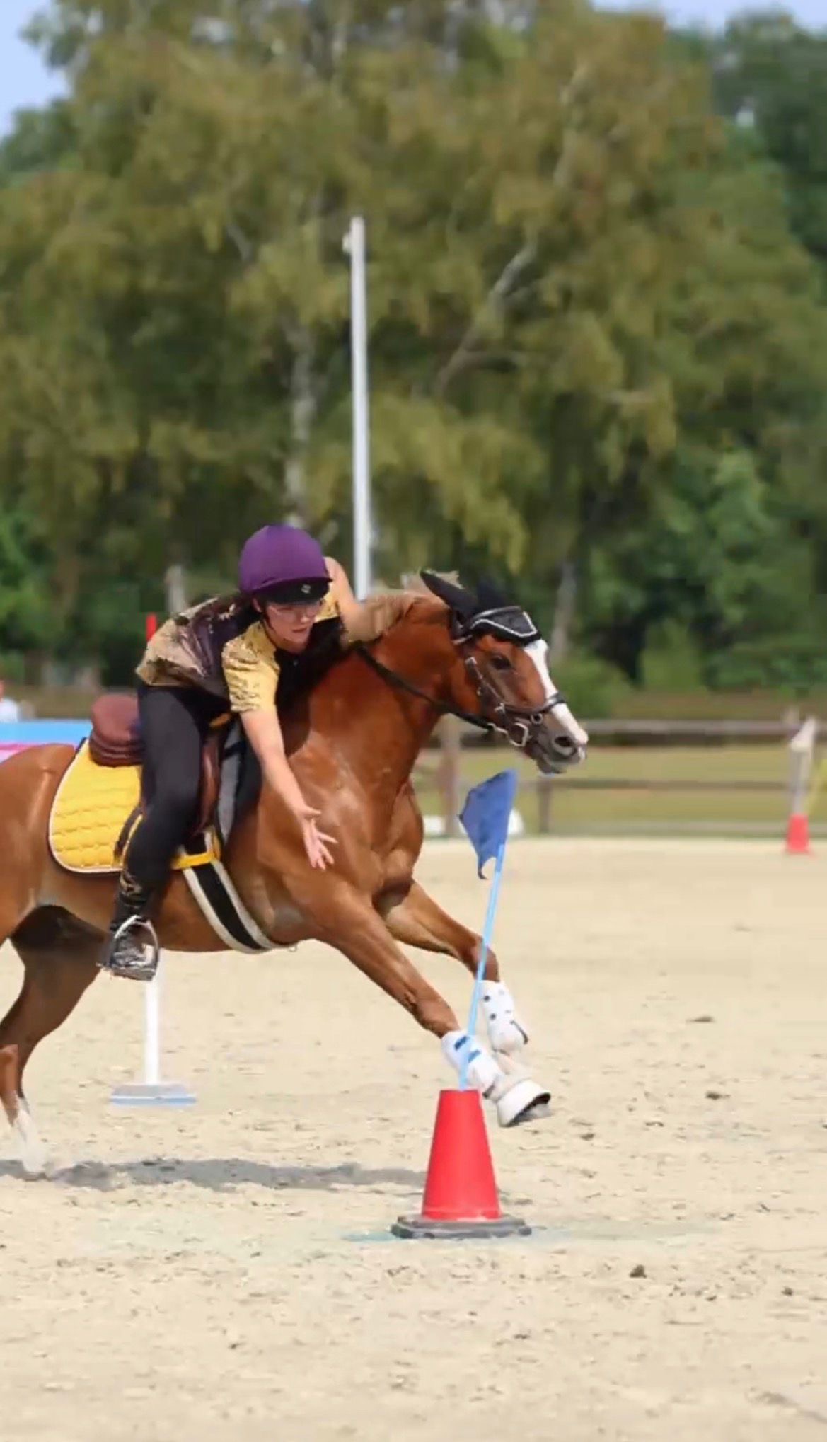 World Individual Championship 2026 · Luhmühlen, Aufnahme 13