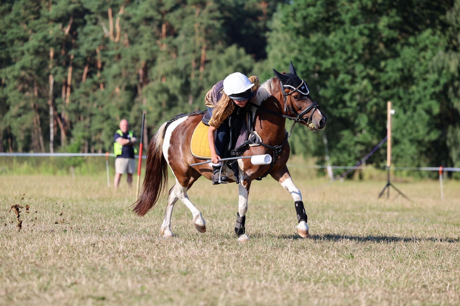 World Individual Championship 2026 · Luhmühlen, Aufnahme 15