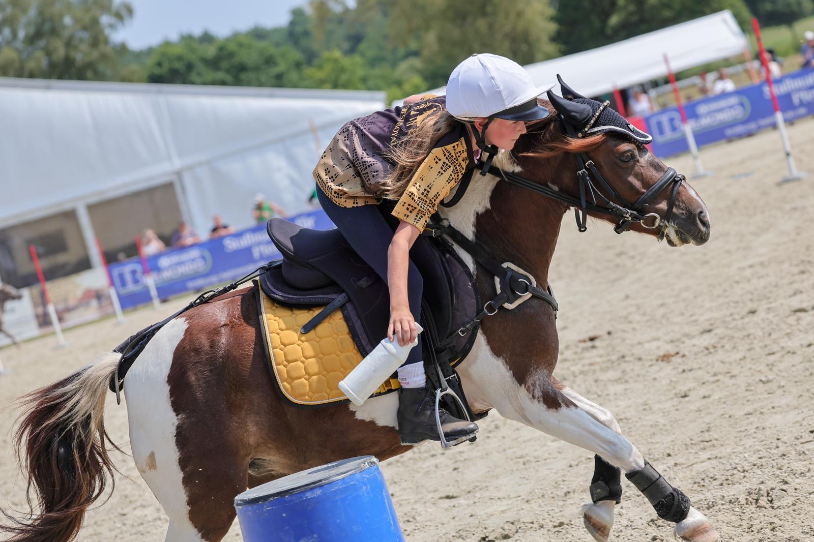 World Individual Championship 2026 · Luhmühlen, Aufnahme 16
