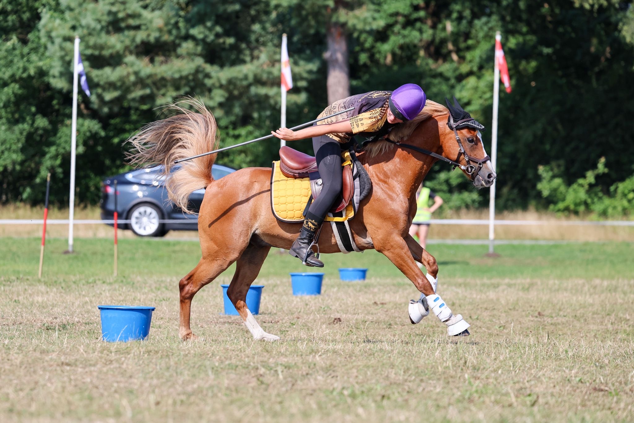 World Individual Championship 2026 · Luhmühlen, Aufnahme 14